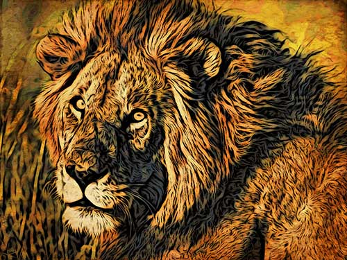 Lion in Summer