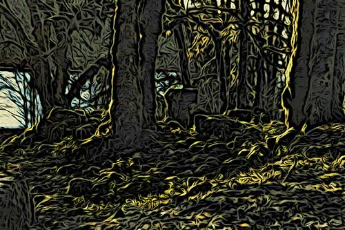 Tree in the Night