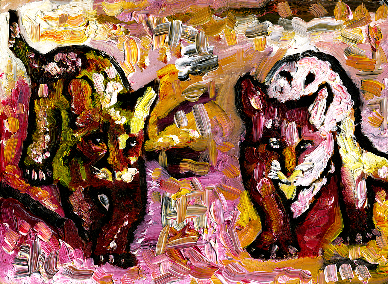 Leopards